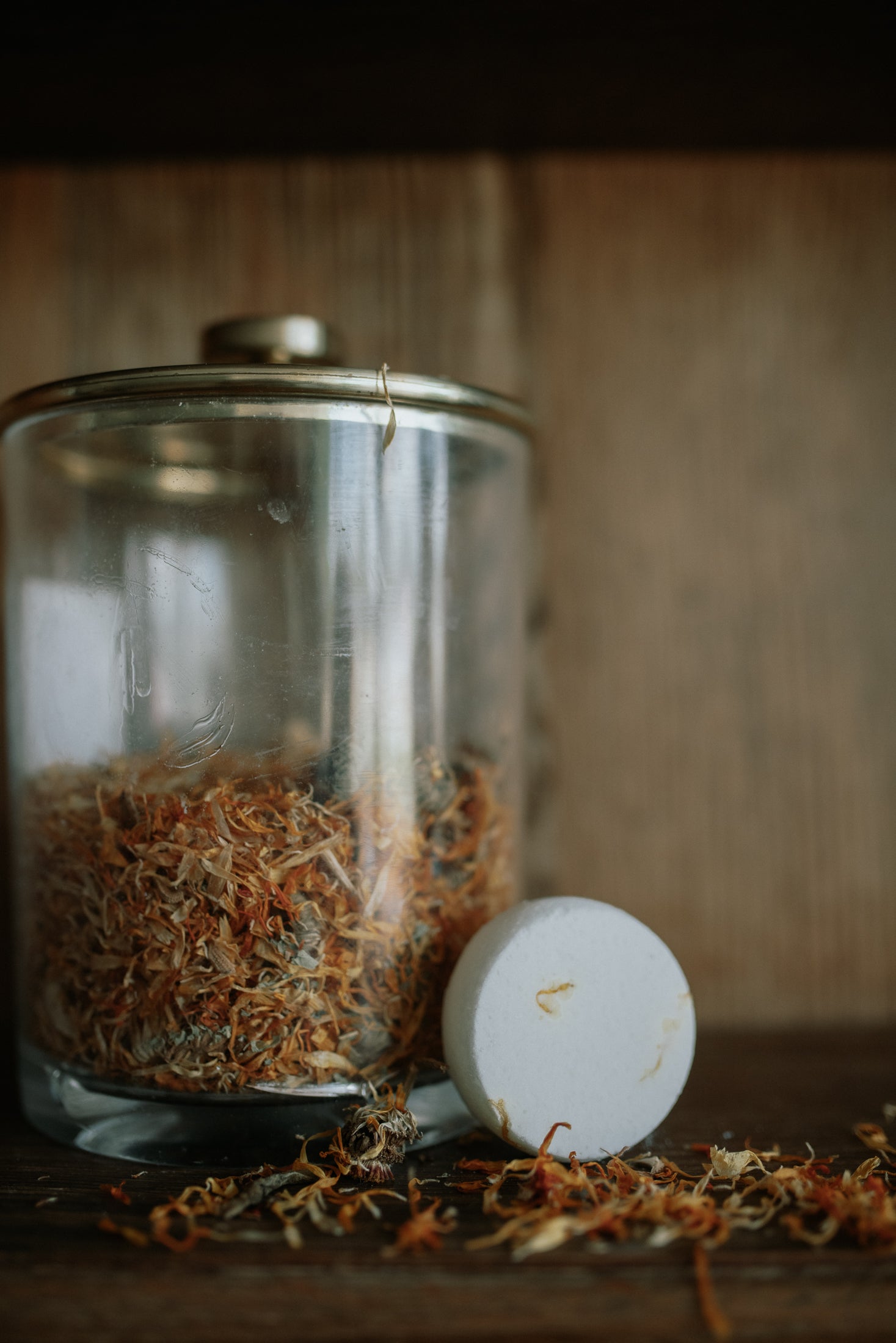 Citrus & Mint l Shower Steamer Gift Set