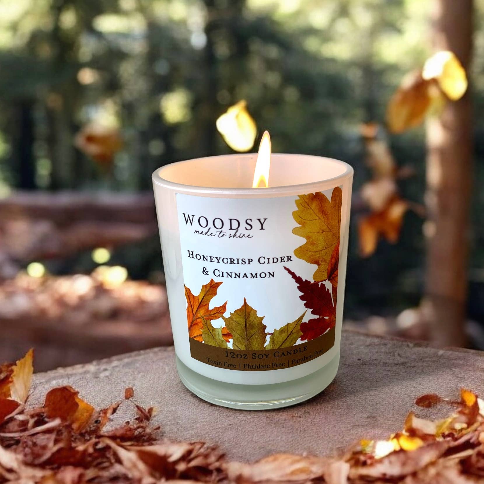 Honeycrisp Cider & Cinnamon I Vintage Watercolor Candle