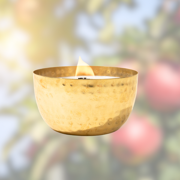 Honeycrisp Cider & Cinnamon/Brass Brilliance Bowl/ 14oz/Wooden Wick/ Pure Soy Candle