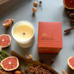 Grapefruit & Cardamom Tea | Gold Lid & Boutique Box