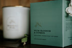 Plum Blossom & Cypress | Gold Lid & Boutique Box 12oz Candle
