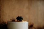 Blackberry & Saffron | Gold Lid & Boutique Box 12oz Candle