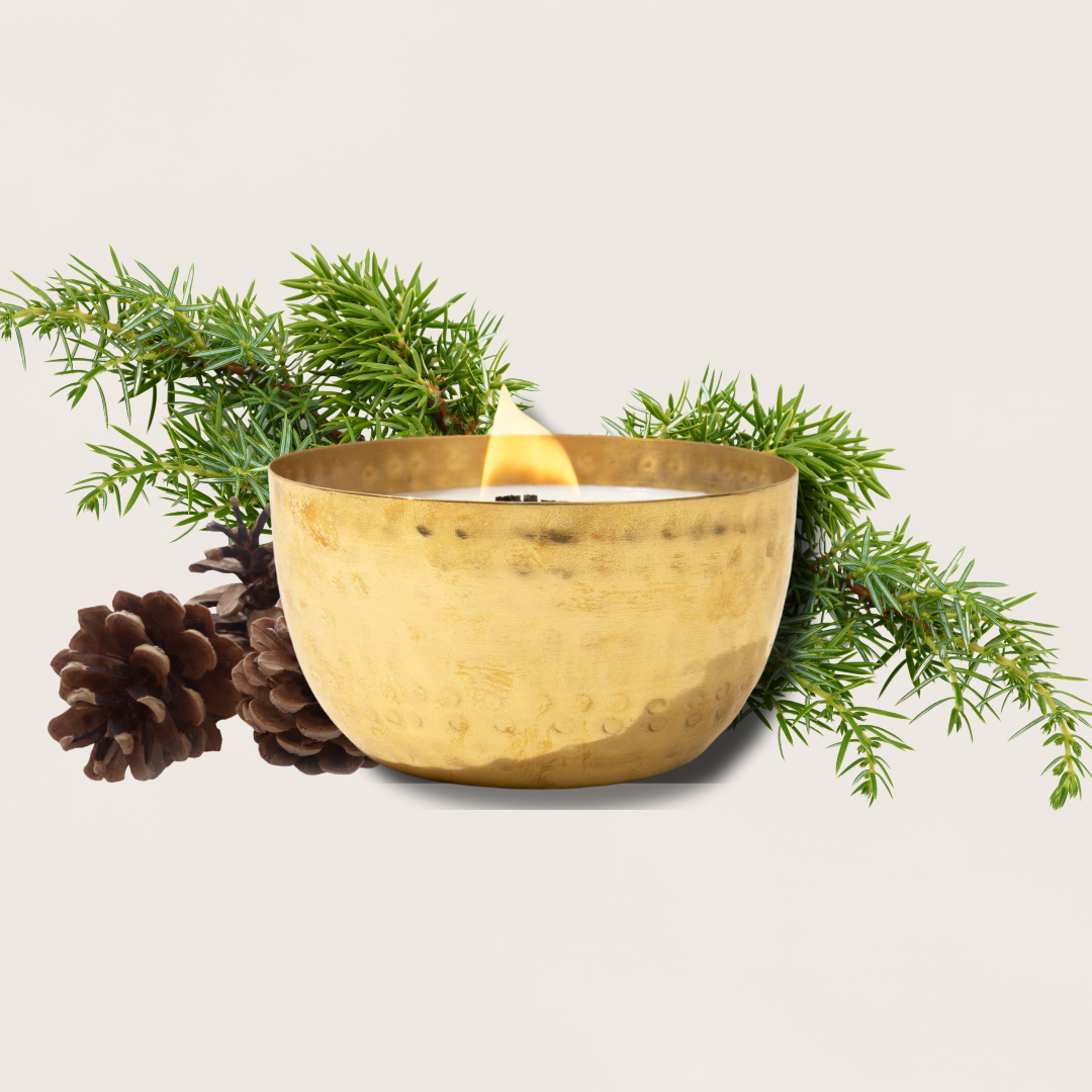 Juniper & Balsam Fir  l  Solid Brass 14oz Soy Candle