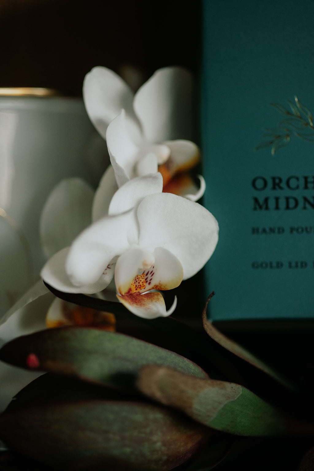 Orchid & Midnight Amber | Gold Lid & Boutique Box 12oz Candle