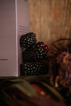 Woodland Plum & Amber - 12oz | Wooden Wick Soy Candle with Gold Lid